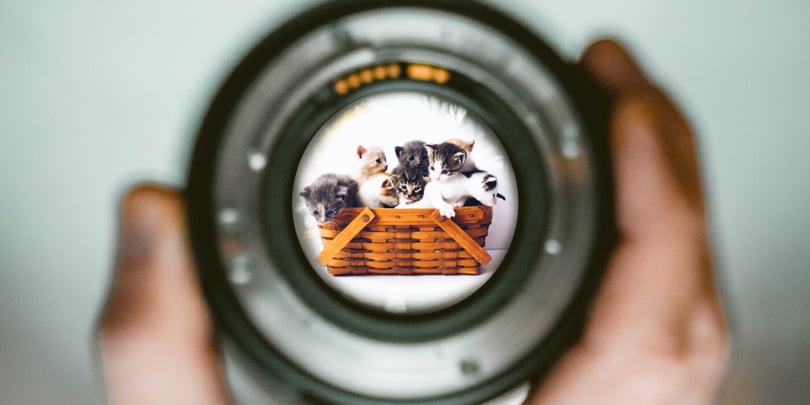 The 9 Lives of the Recruitment and Search Industry